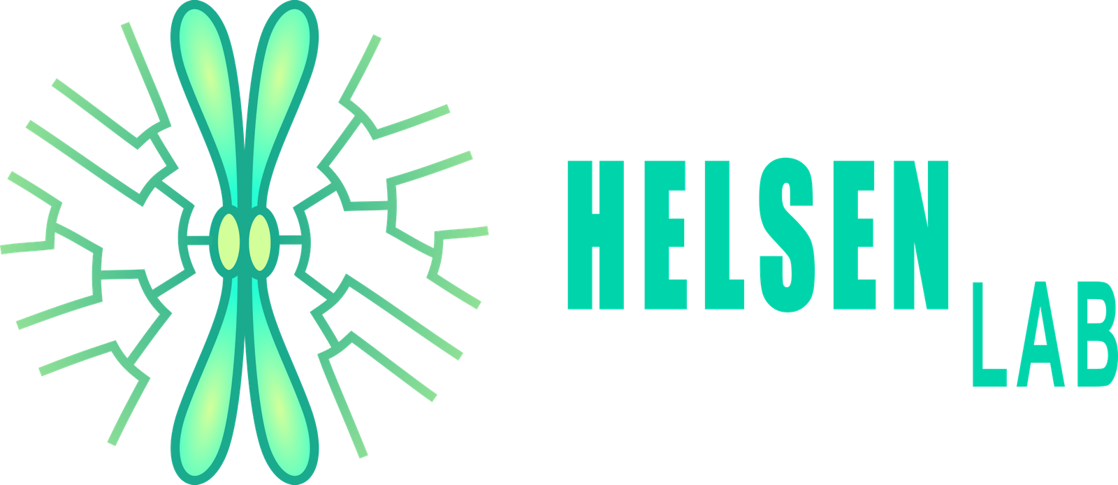 HELSEN LAB